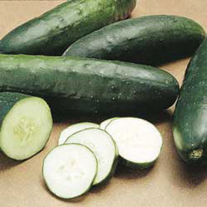 G-S Cucumber Straight Eight 1oz