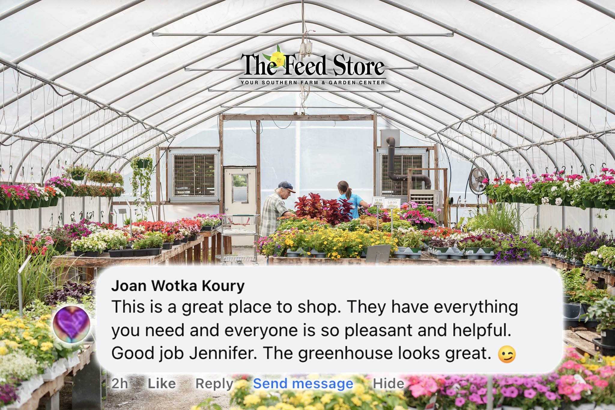 Greenhouse with plants and a customer review displayed on screen. "This is a great place to shop. They have everything you need and everyone is so pleasant and helpful. Good job Jennifer. The greenhouse looks great."