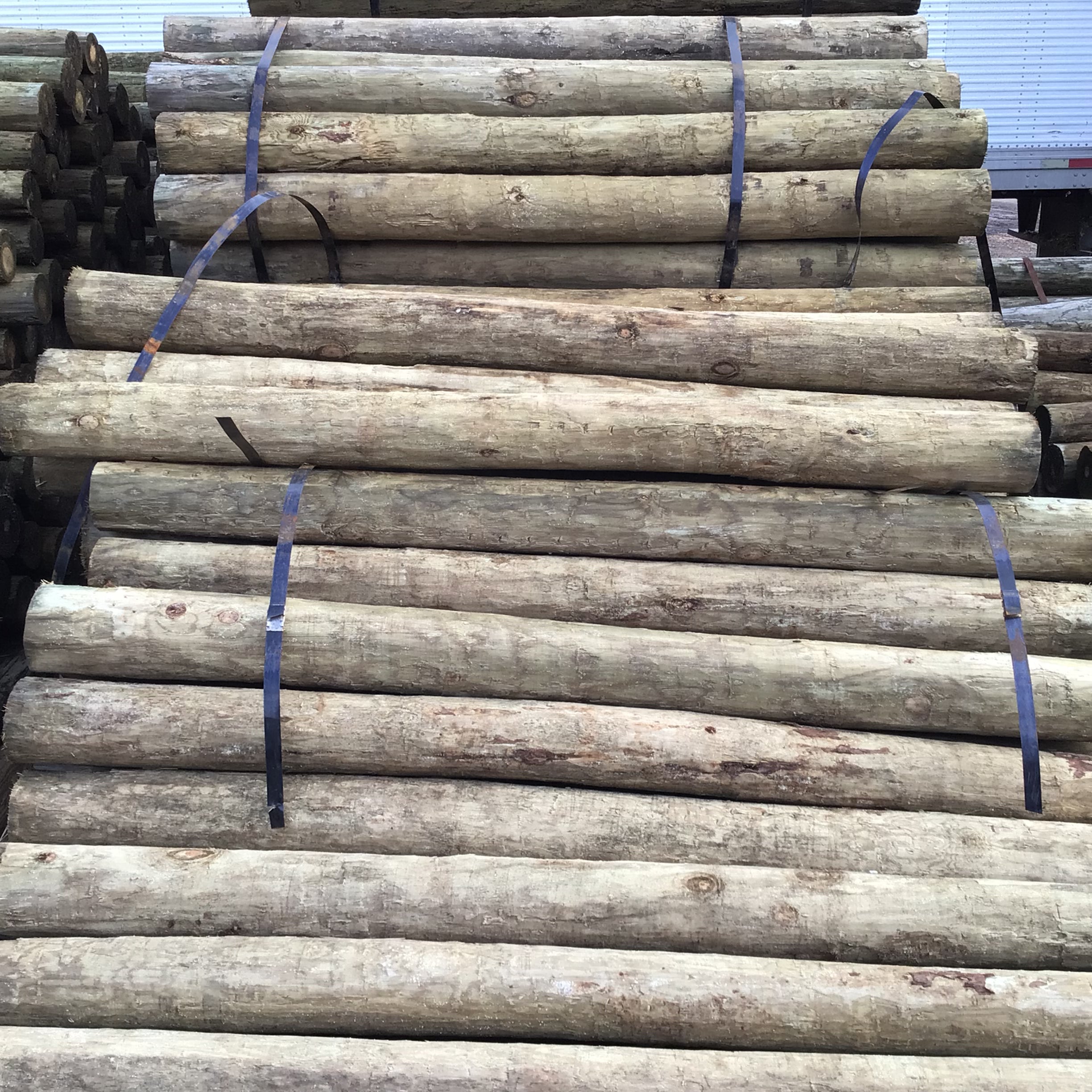 Pressure Treated Wood Fence Post 6" x 7.5'