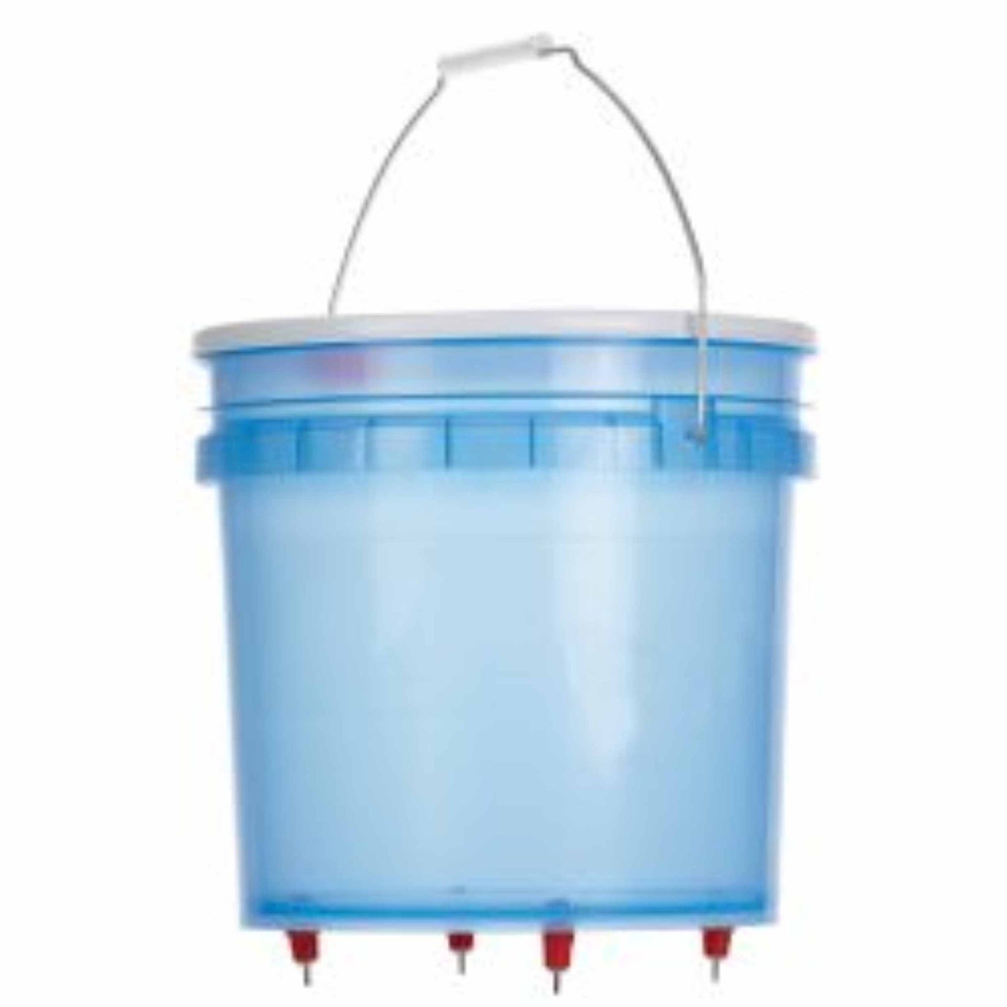 Hen Hydrator Poultry Fount 3 Gal