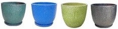 Limelight Planter 7"
