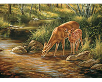 Puzzle Deer Family 35 pcs