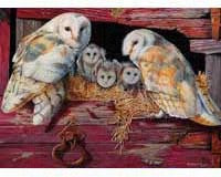 Puzzle Barn Owls 1000 pc