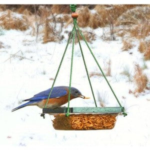 Mini Mealworm Tray Bluebird Feeder