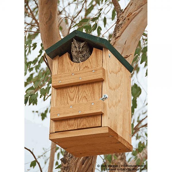 Screech Owl House