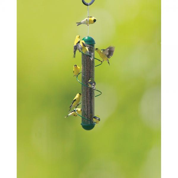 Green Spiral Finch Tube Feeder 17inch