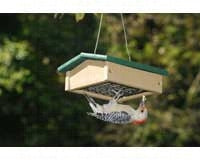 Upside Down Suet Feeder Small Hunter Driftwood