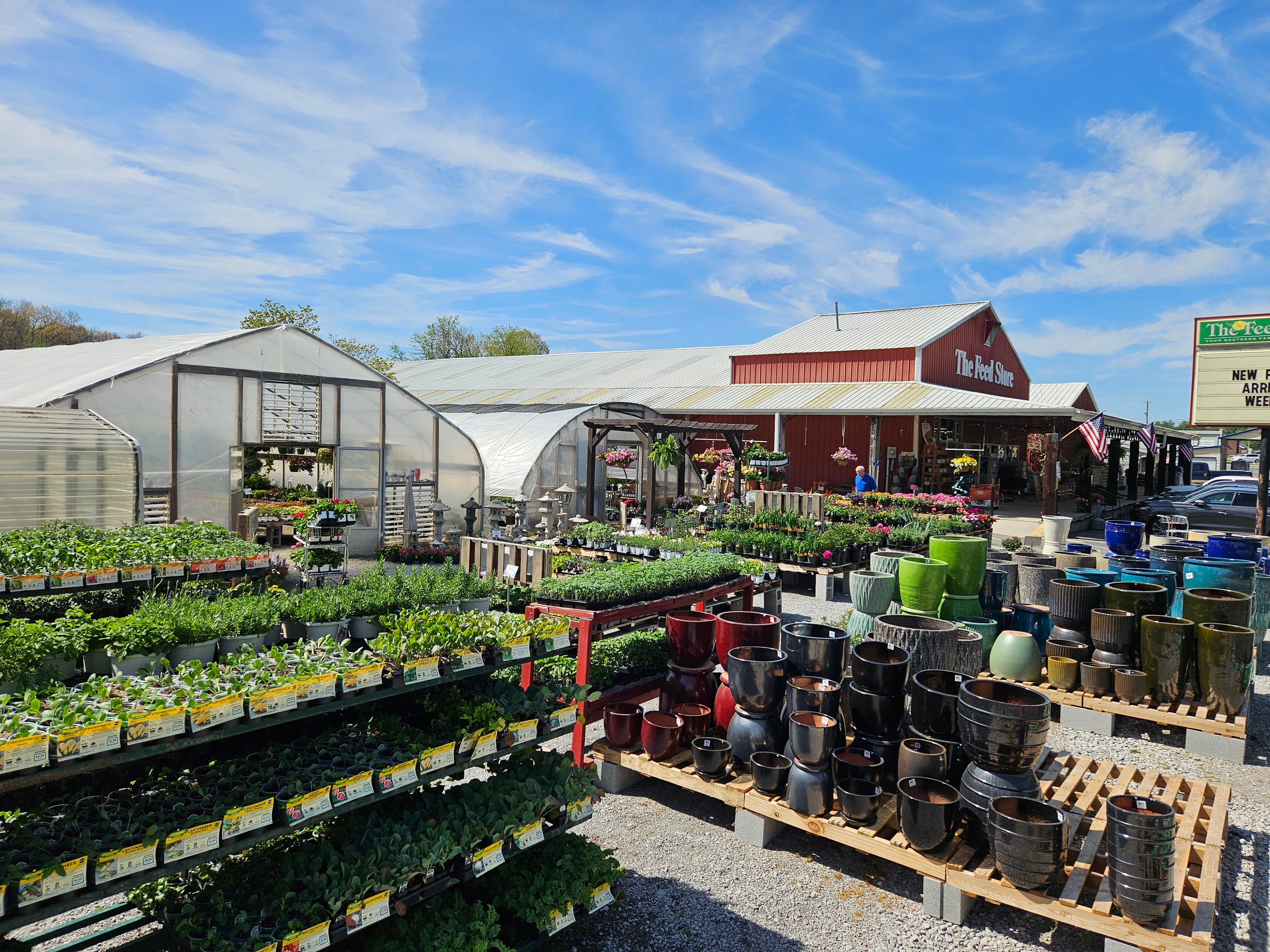 Outdoor garden center at 'The Feed Store' with plants and greenhouses under a blue sky.