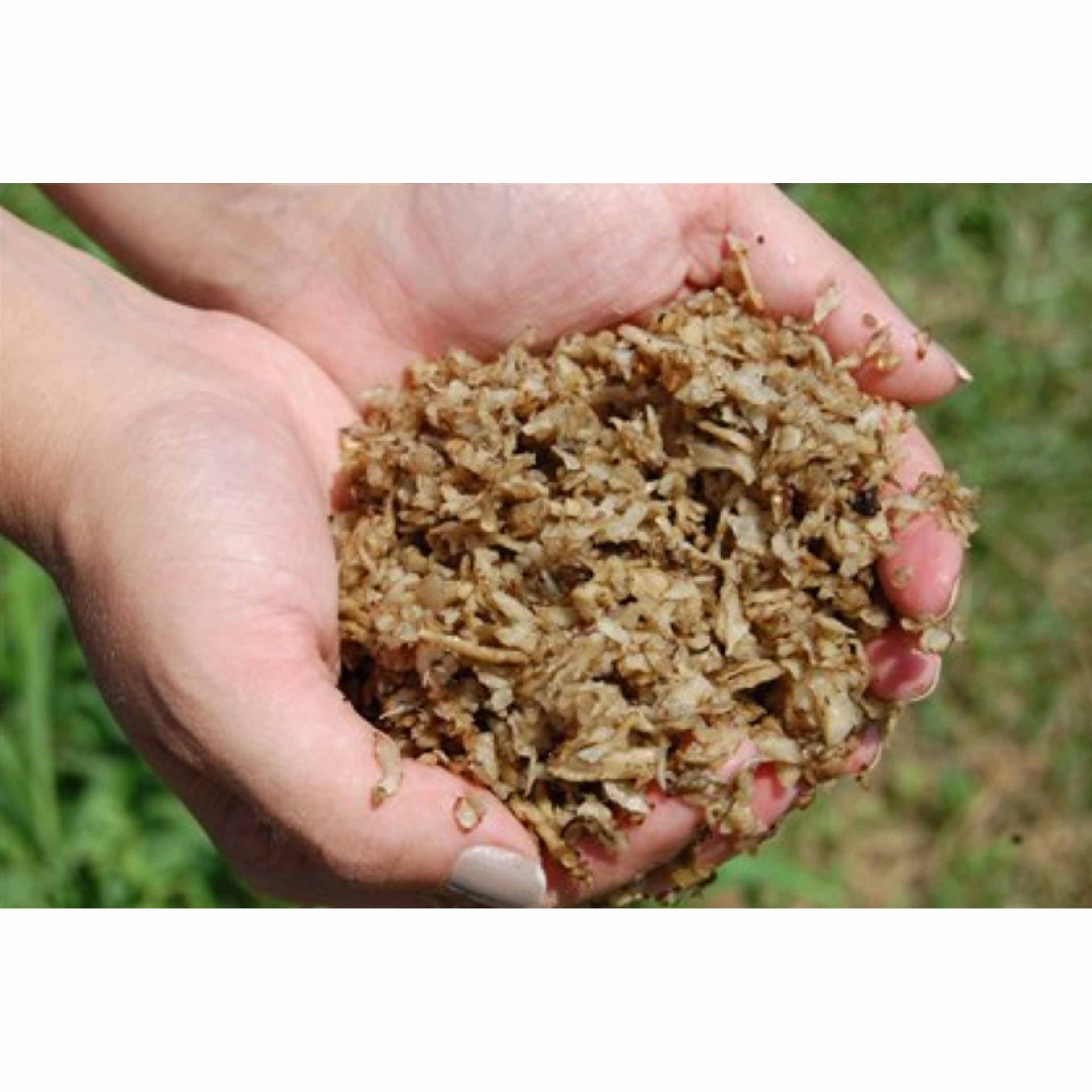 Beet Pulp Plain 30lb