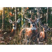Puzzle, Woodlands Shadow 1000 pc