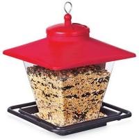 Cafe Bird Feeder