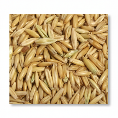 Whole Oats 50lb