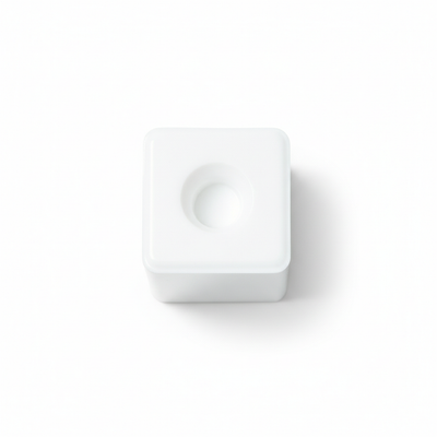 White Salt Blocks 50lb