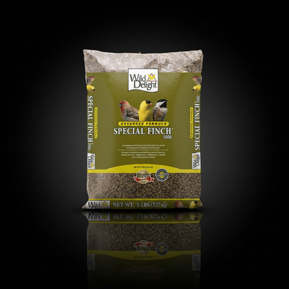 Wild Delight Special Finch